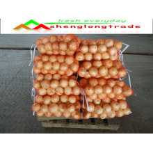 2011 fresh yellow onion(4-9cm) with competitive price